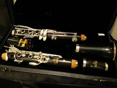 ケースに収納されたクラリネット