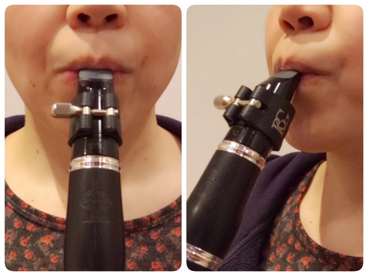 正面と横から見た良いアンブシュア